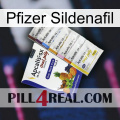 Pfizer Sildenafil 11